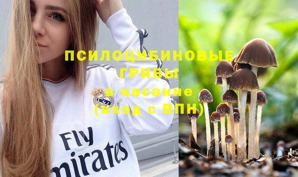 эйфоретик Кодинск