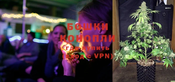 прущий лед Козловка
