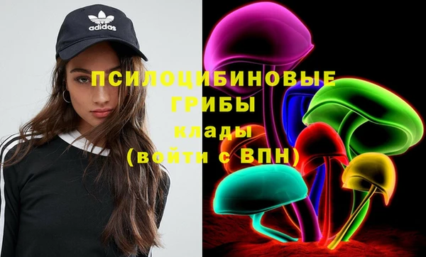 прущий лед Козловка