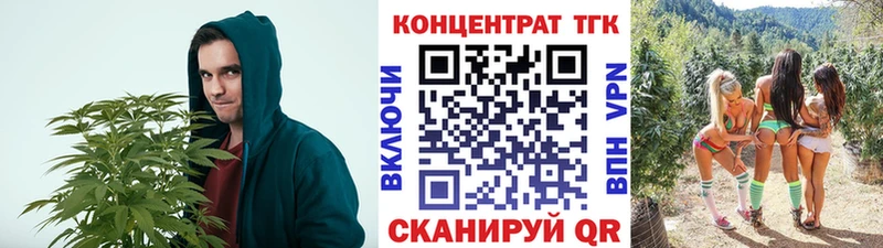 Дистиллят ТГК Wax  Купить закладки  Мирный 