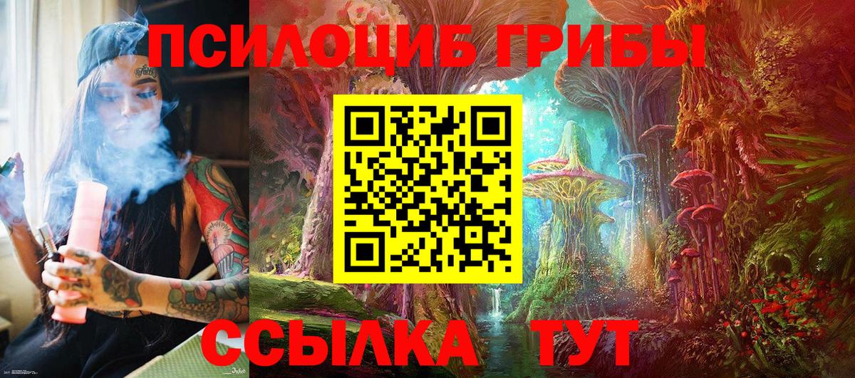 Галлюциногенные грибы Psilocybe Мирный