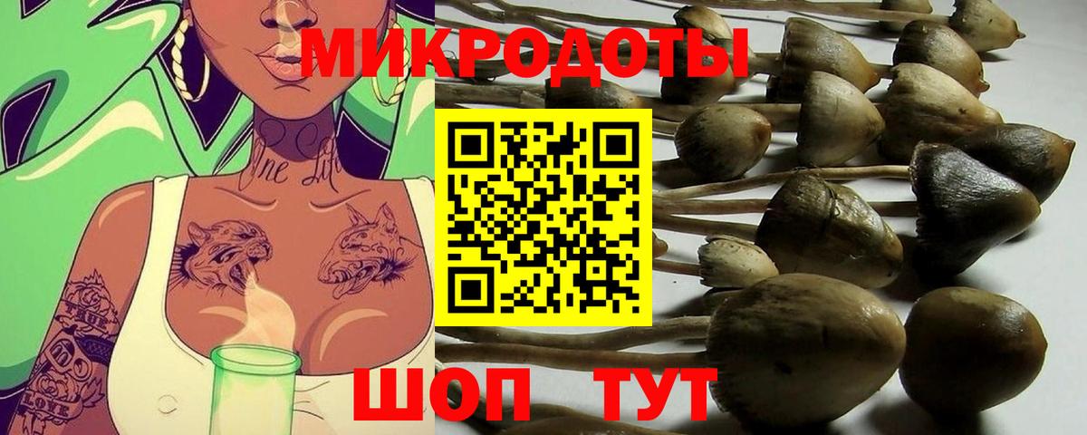 Галлюциногенные грибы Psilocybe Мирный